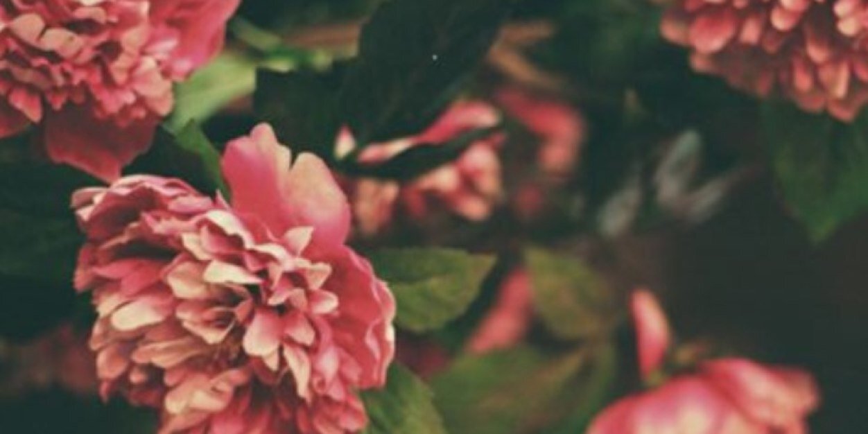 megjackson410's profile banner image