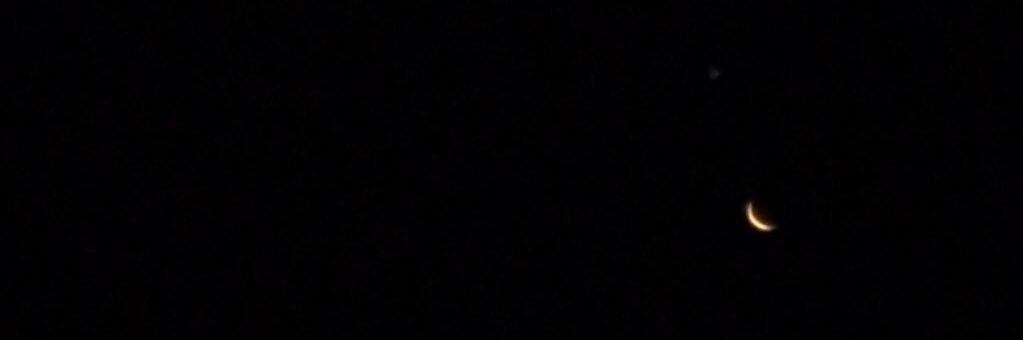 PIGPAPUI's profile banner image