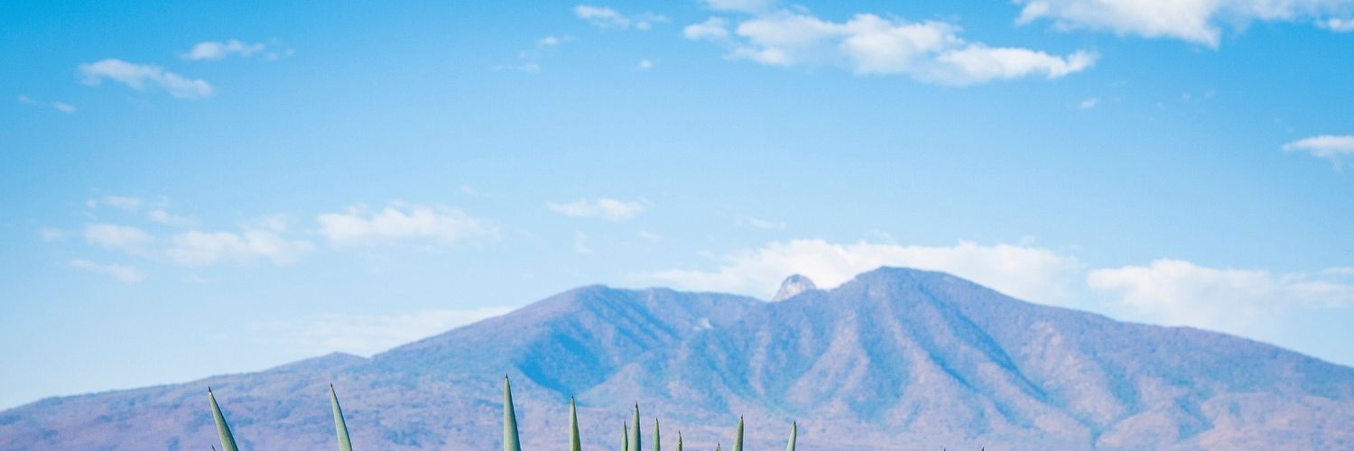 RubiCastV's profile banner image