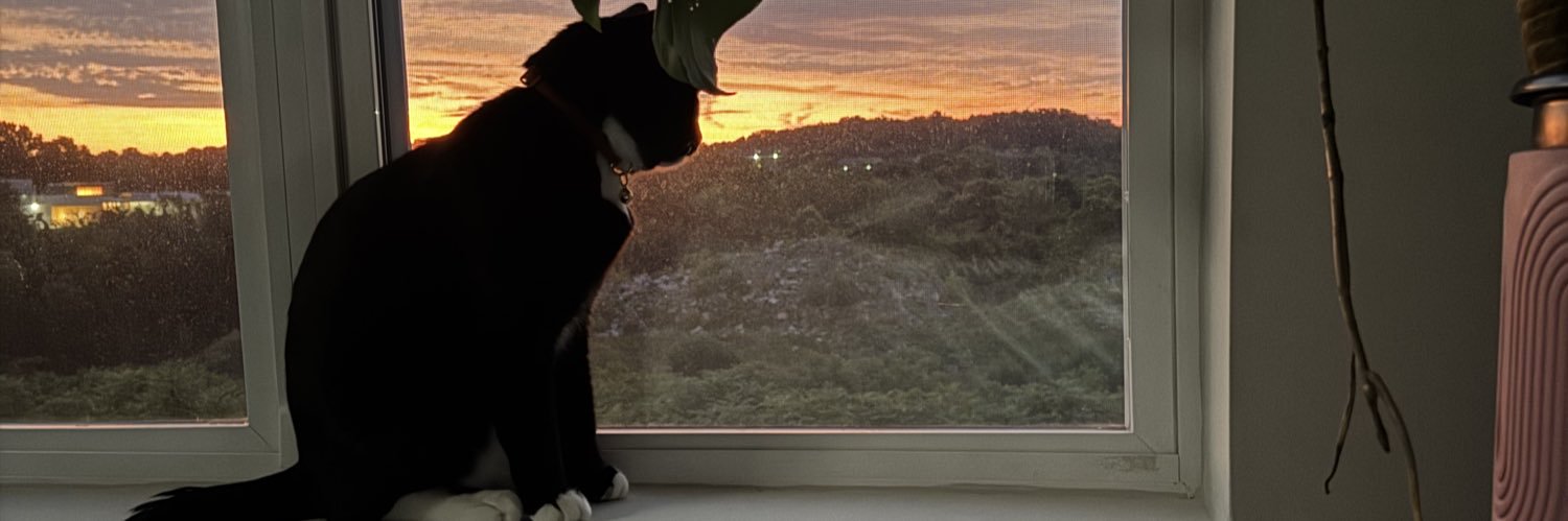 ThuggBugg_'s profile banner image