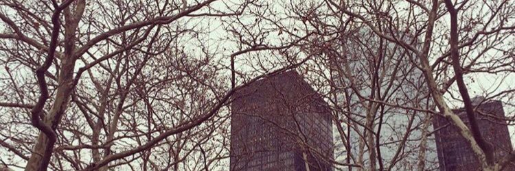 lucylanche's profile banner image