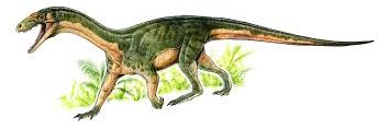 TsarusRex's profile banner image
