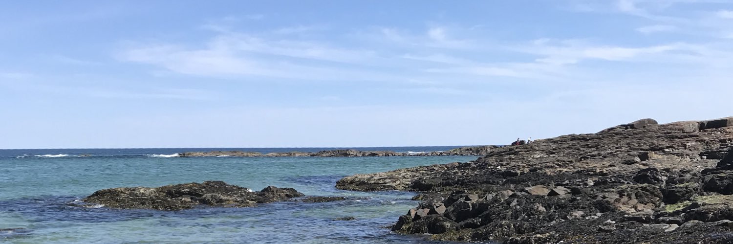 SarahTheGreat02's profile banner image