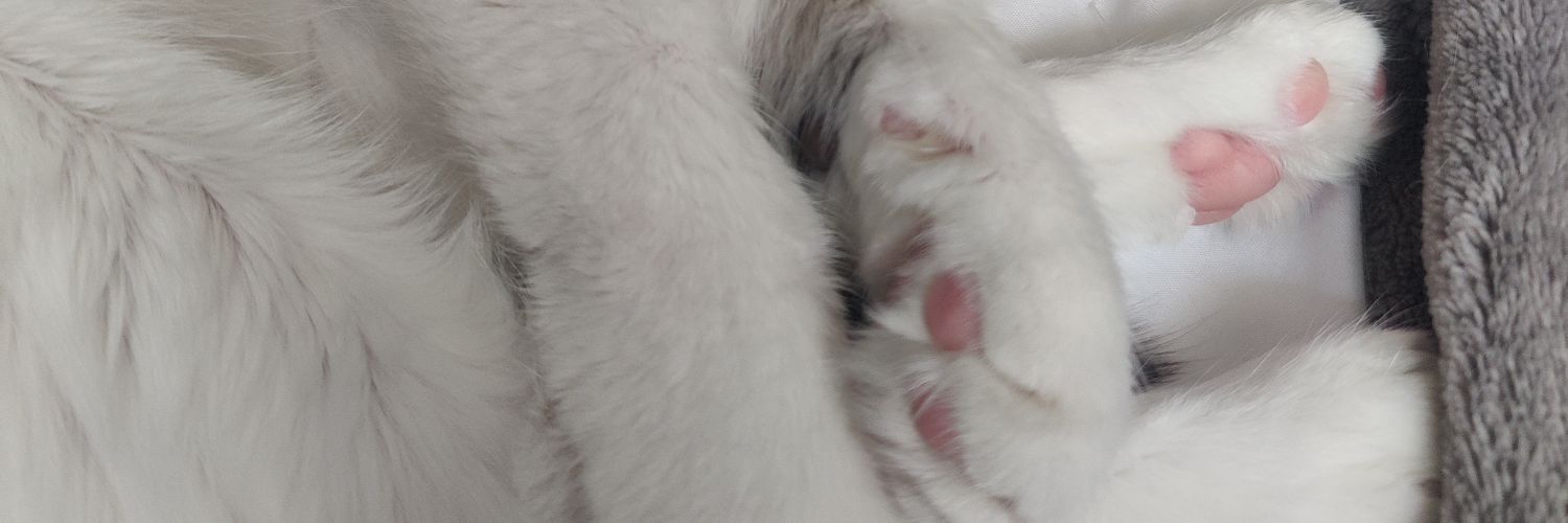 ChrisABrace's profile banner image