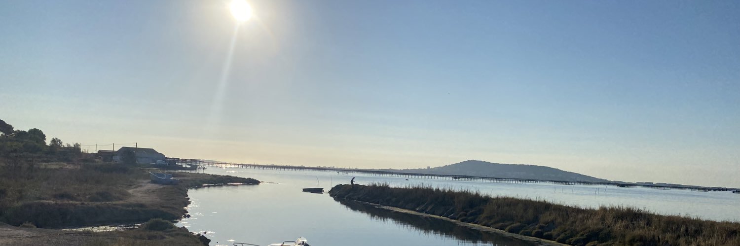 WhichNetwork's profile banner image