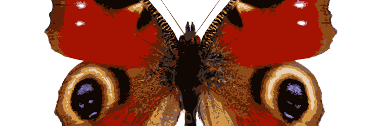 klokie's profile banner image