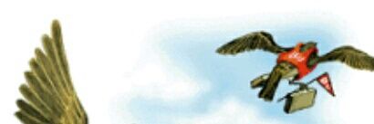 TAlbornet's profile banner image