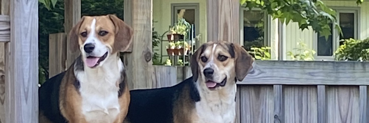 Nette2172W's profile banner image