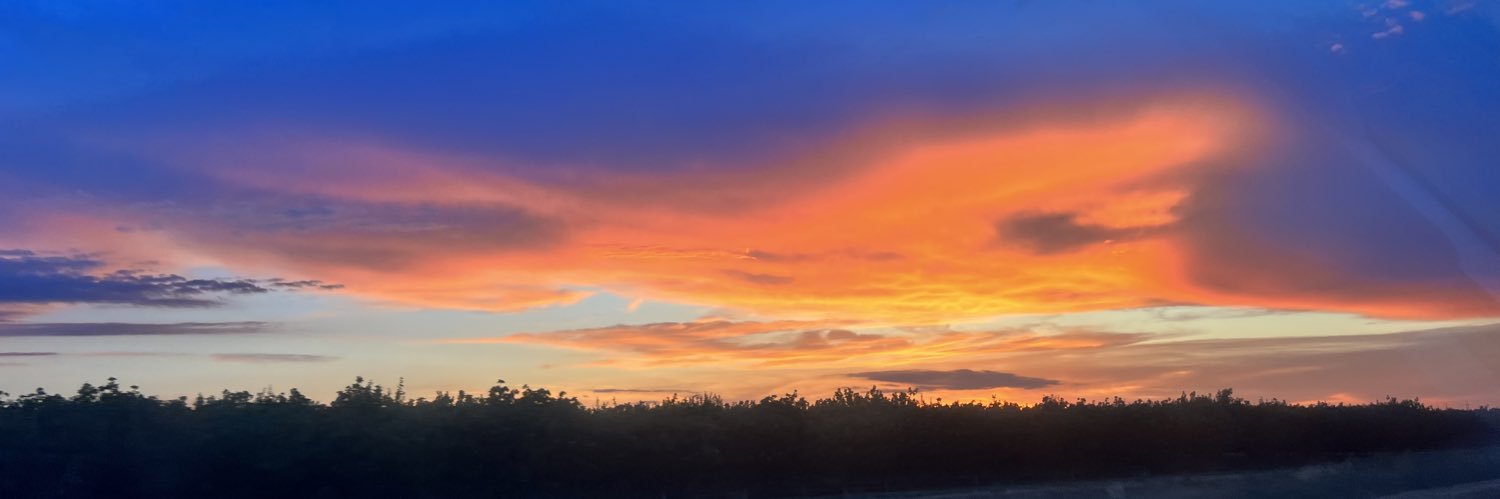 SydneeRegimbal's profile banner image