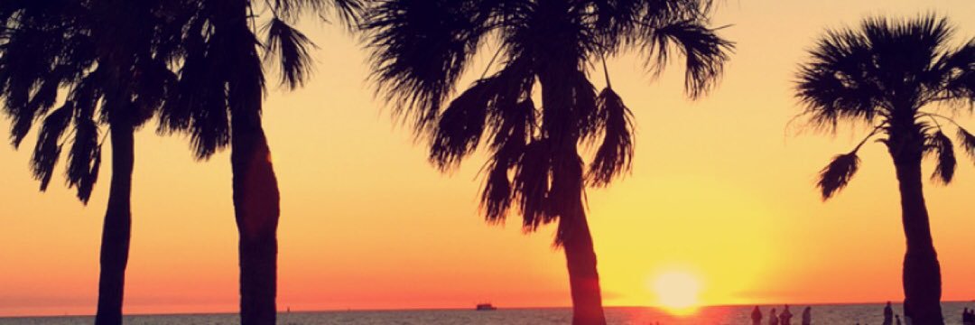morgansundy's profile banner image