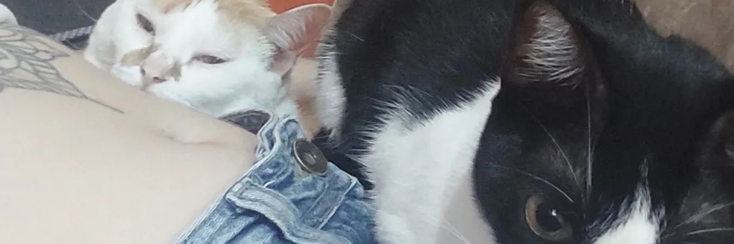anemata's profile banner image
