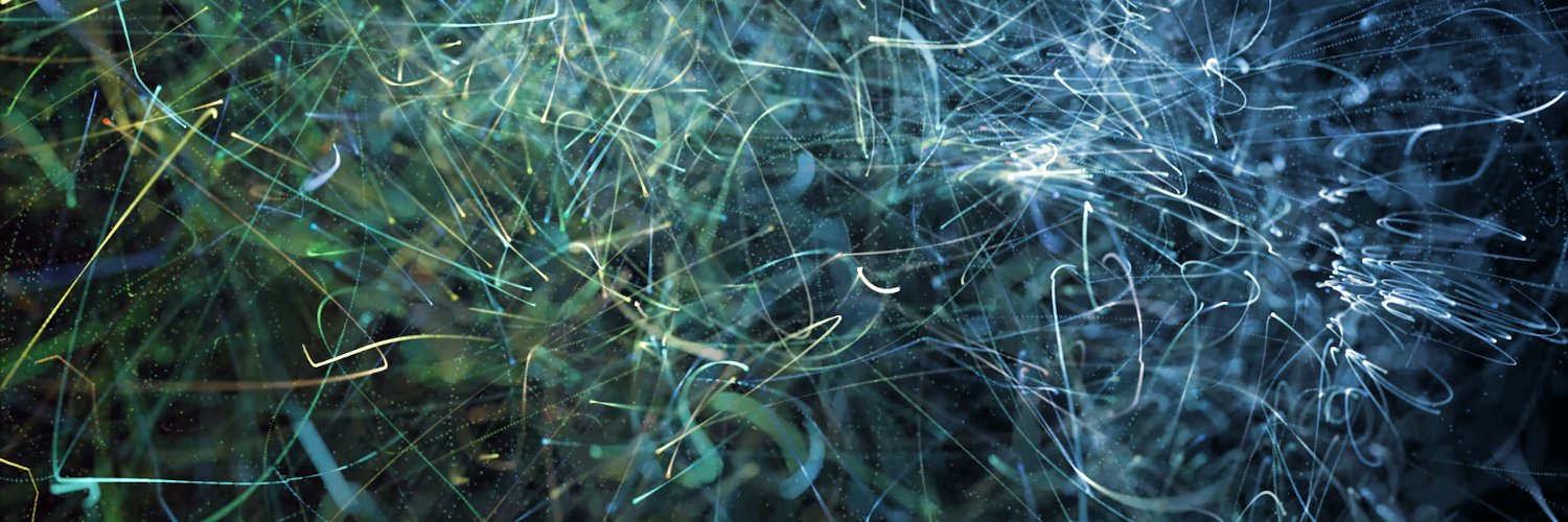 Peter Plucinski banner