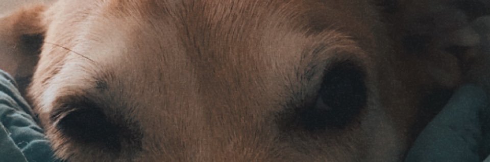 jo_bre's profile banner image