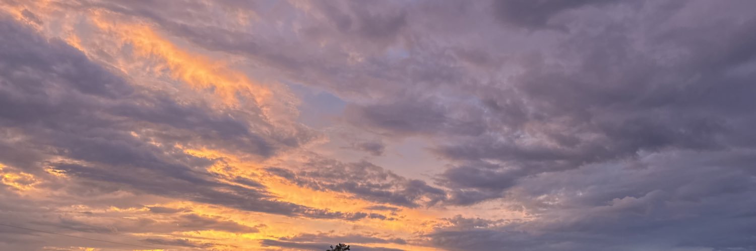grayzee5's profile banner image