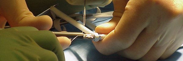 MUSCVIR Profile Banner