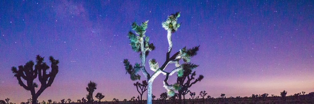 hdeitrick's profile banner image