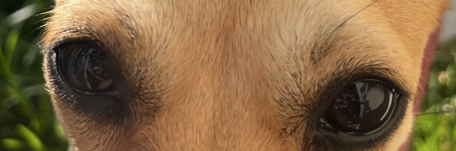 hannashedid's profile banner image