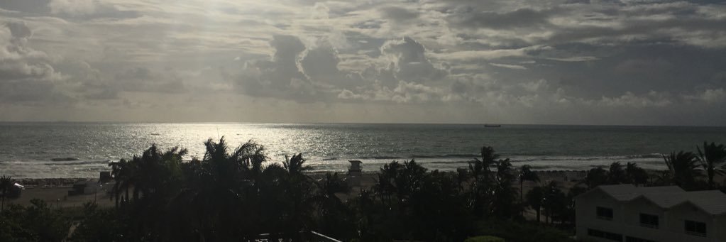 AliceaTheGreat's profile banner image
