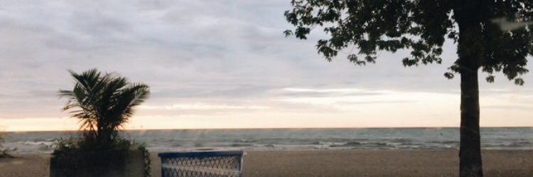 scholettee's profile banner image