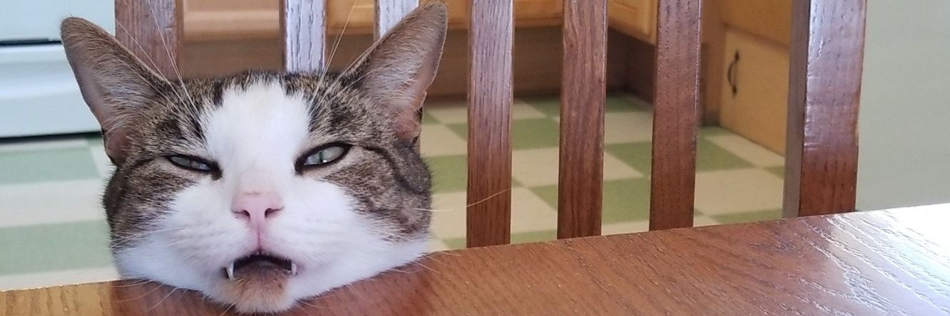 TayGirl24's profile banner image