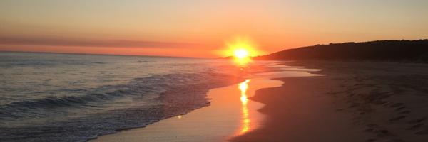 limkaming Profile Banner