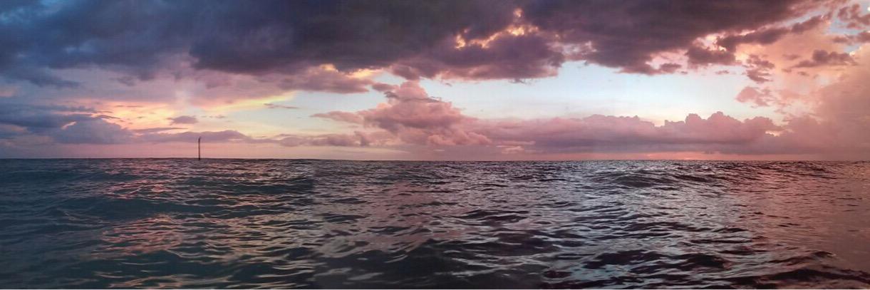 scphic's profile banner image