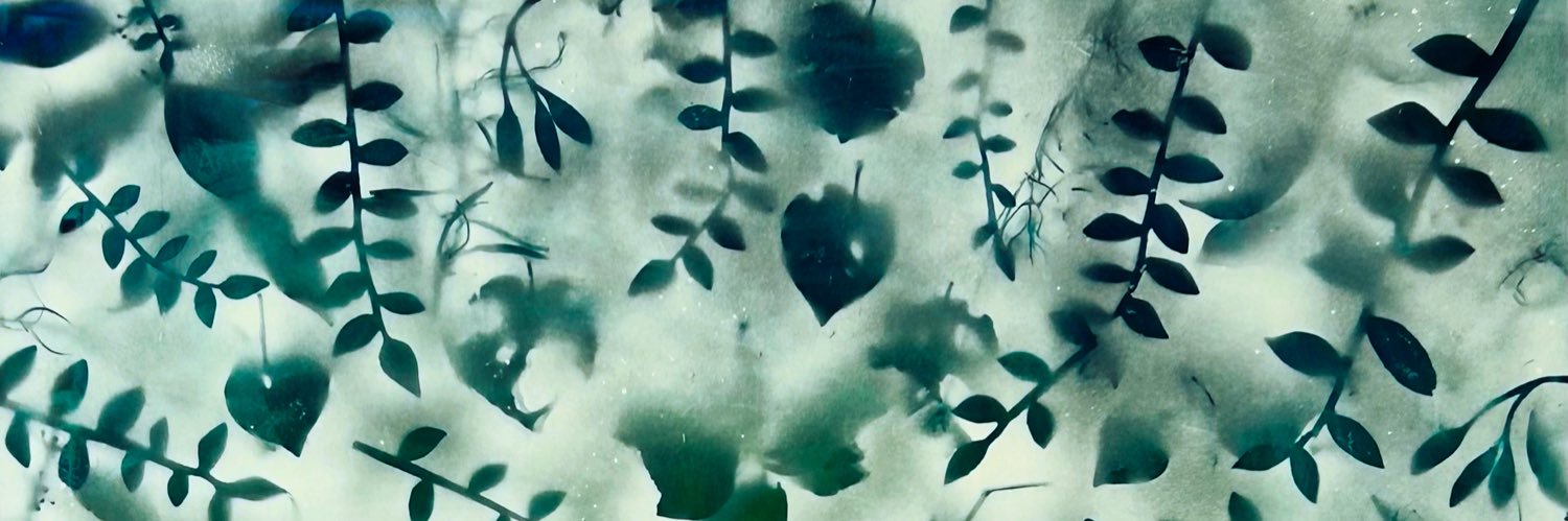 Helen Beech banner