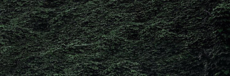 Andy_Harris8's profile banner image