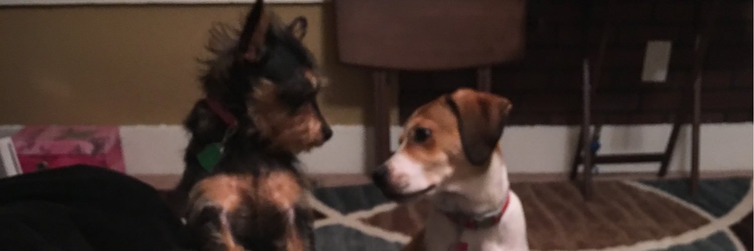 BethbugsMom's profile banner image