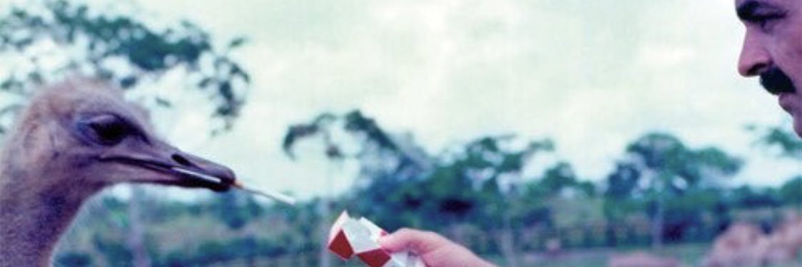 acav_16's profile banner image
