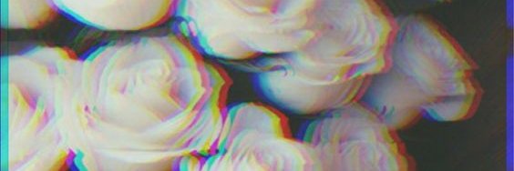 sofmentasti's profile banner image