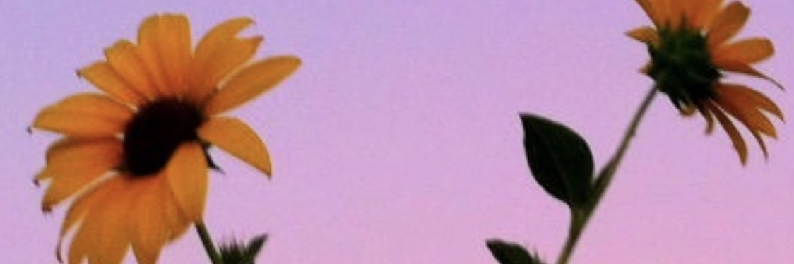 stephkyle's profile banner image