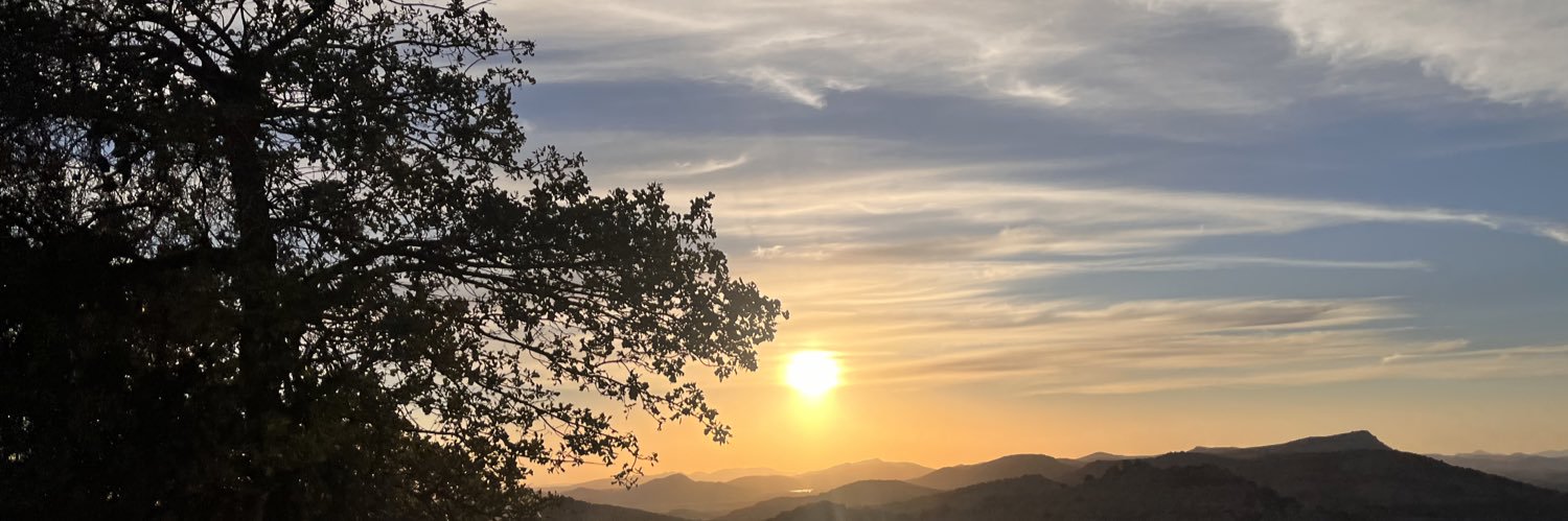 mizztotz's profile banner image