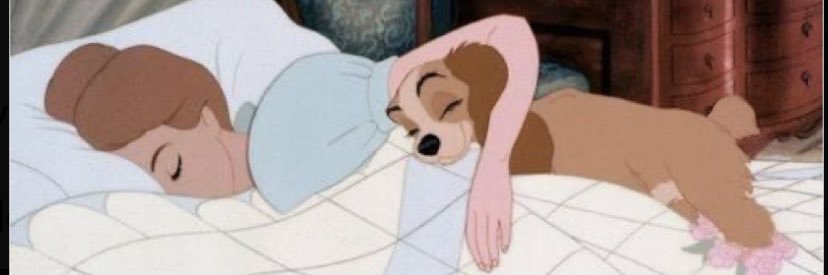 MeaganKatheryn's profile banner image