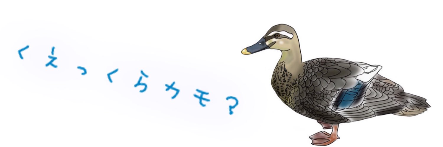 eclat_aurcus's profile banner image