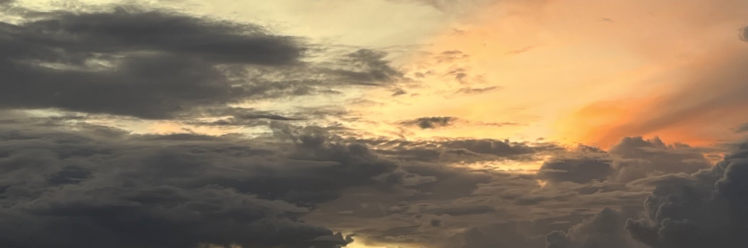 Vincent Seng banner