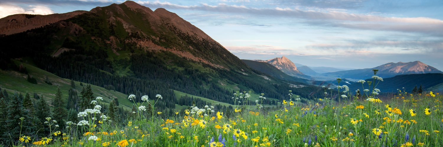 Jessica Morgan banner