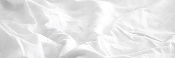 taylor_lenehan's profile banner image