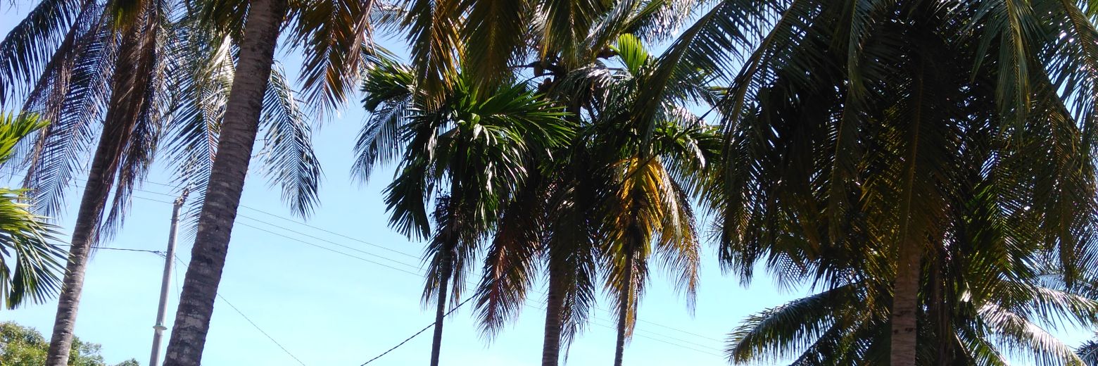 fahzagwapito's profile banner image