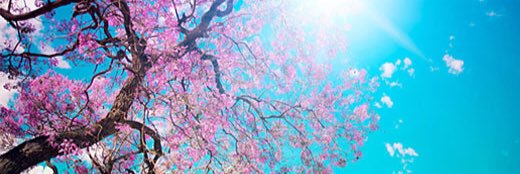 GailenDavis's profile banner image