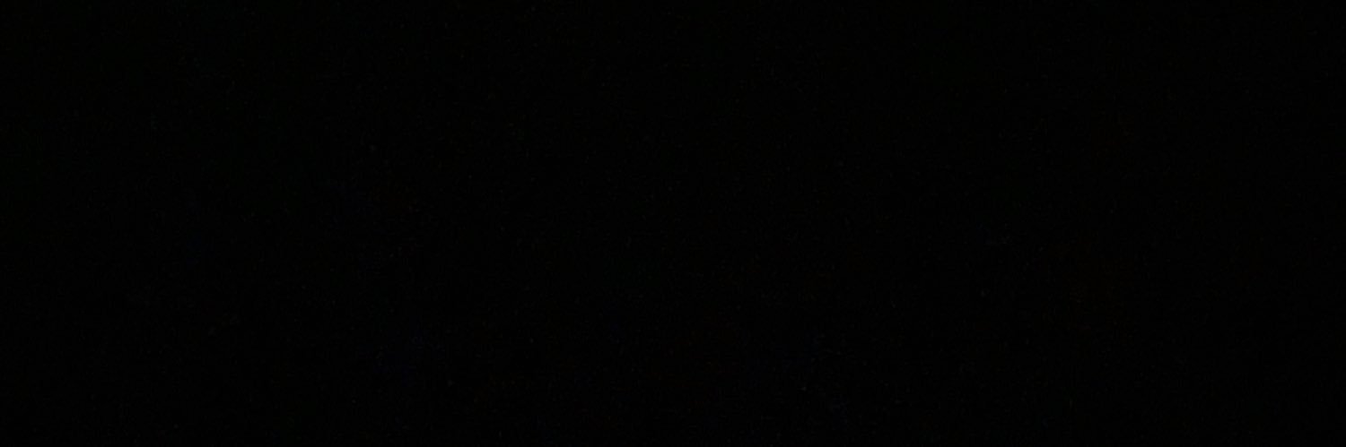 Brittany Fleet banner
