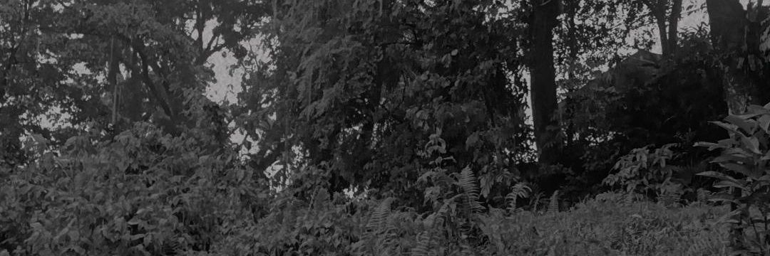 carleeoneee's profile banner image