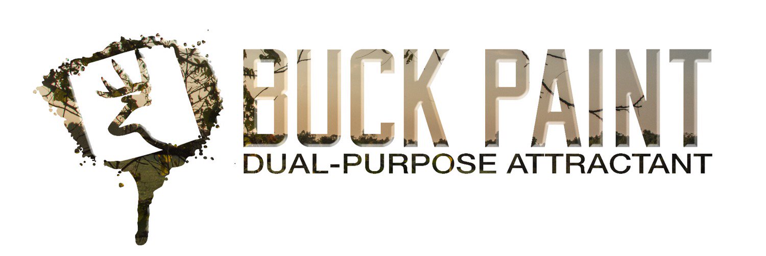 BuckPaint's profile banner image