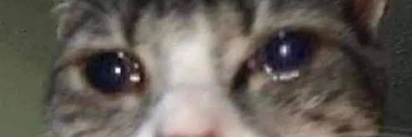 orilookstore Profile Banner