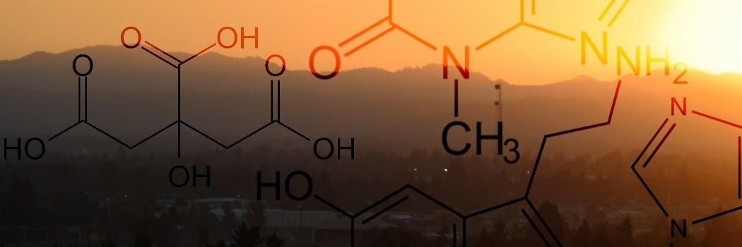 Robin DeGlavin ✇ banner