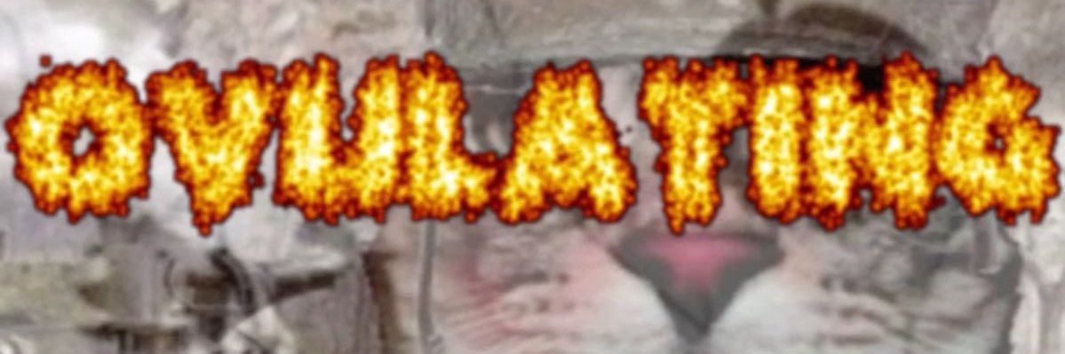 jenneeeben's profile banner image