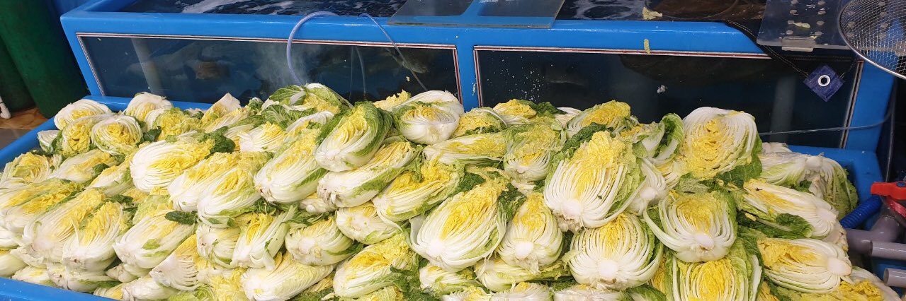 그냥 가는 사람🦁 banner