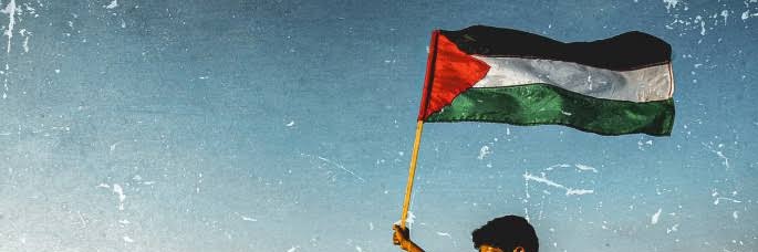 Dzikamayi Chando banner