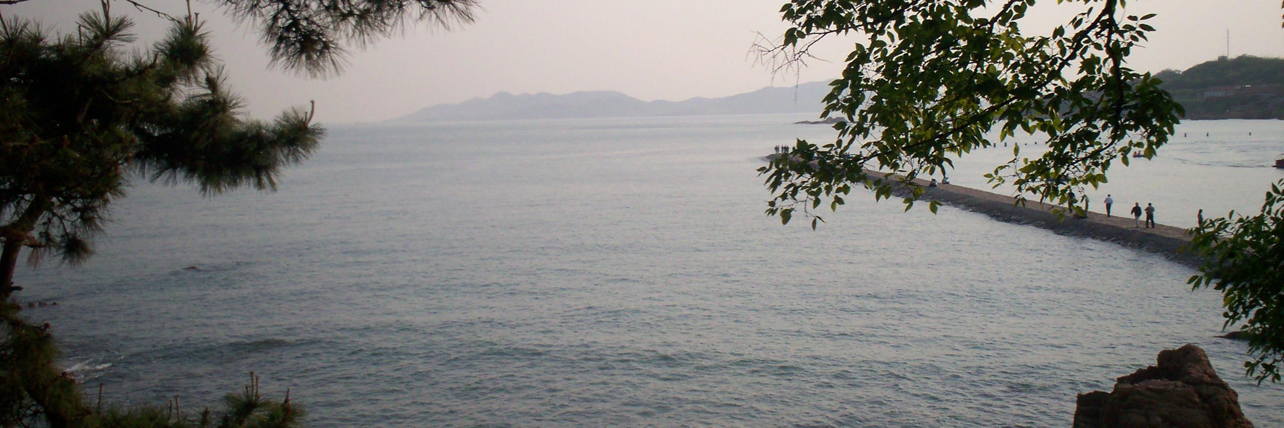 FullerSwimmer's profile banner image