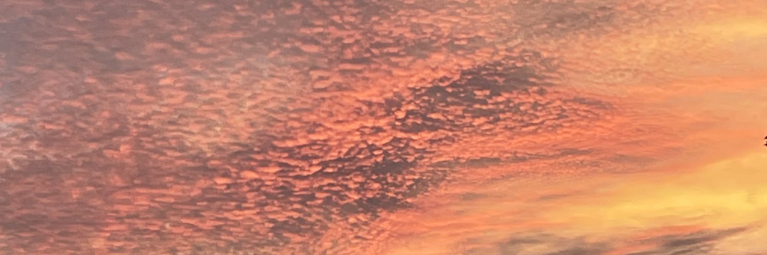Lil banner